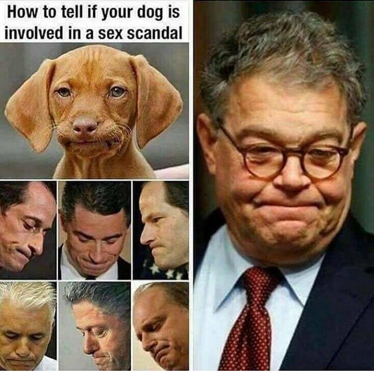 Trust the dog...