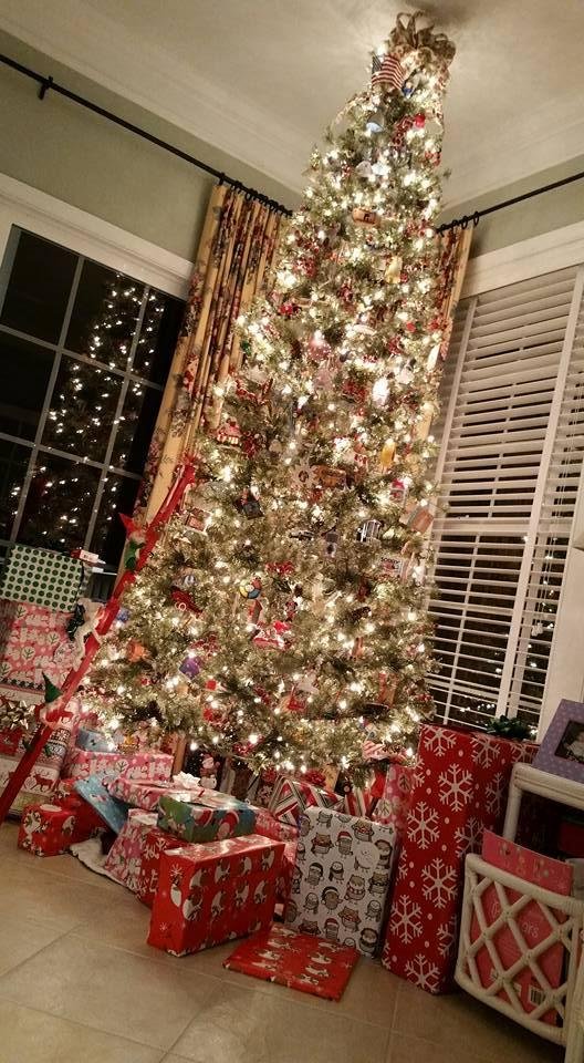 Merry Christmas from Steve and Sandi.