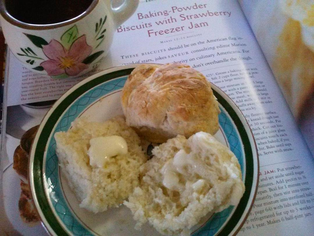 Susan Lasko's album, Timeline Photos