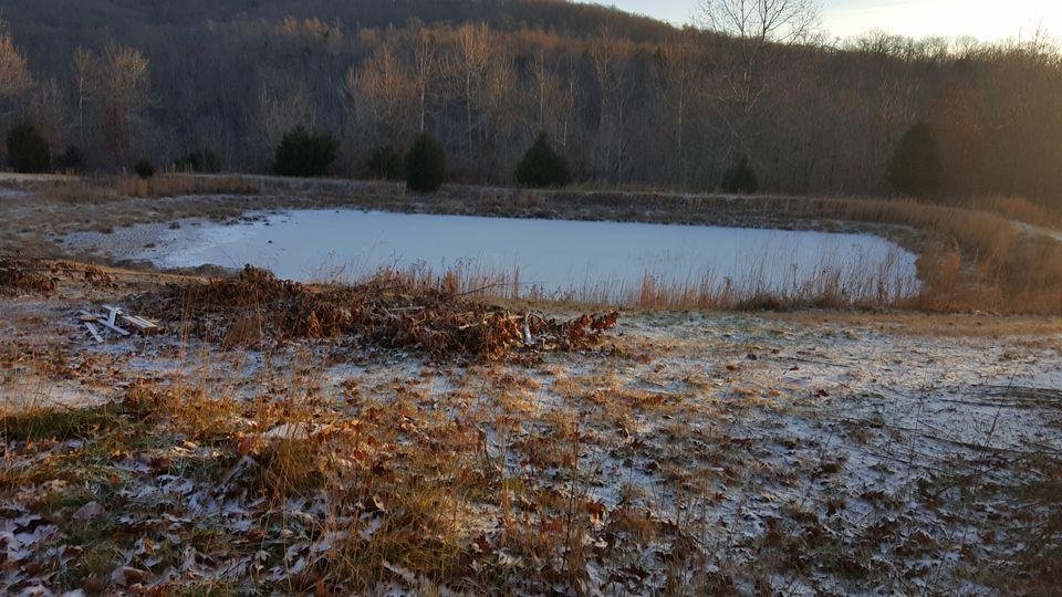 Wow, it's 6° and feels like -7° our pond is frozen. Winter is finally here, the high today is 23°.