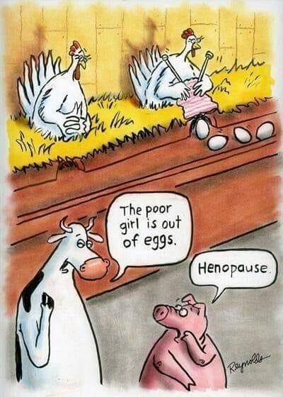 Norman Hatcher's album, Timeline photos