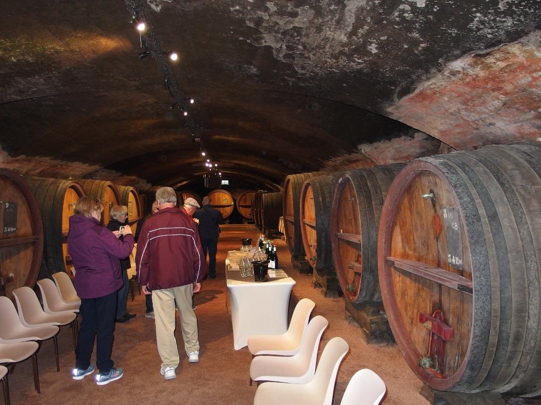 Wine cellar in France