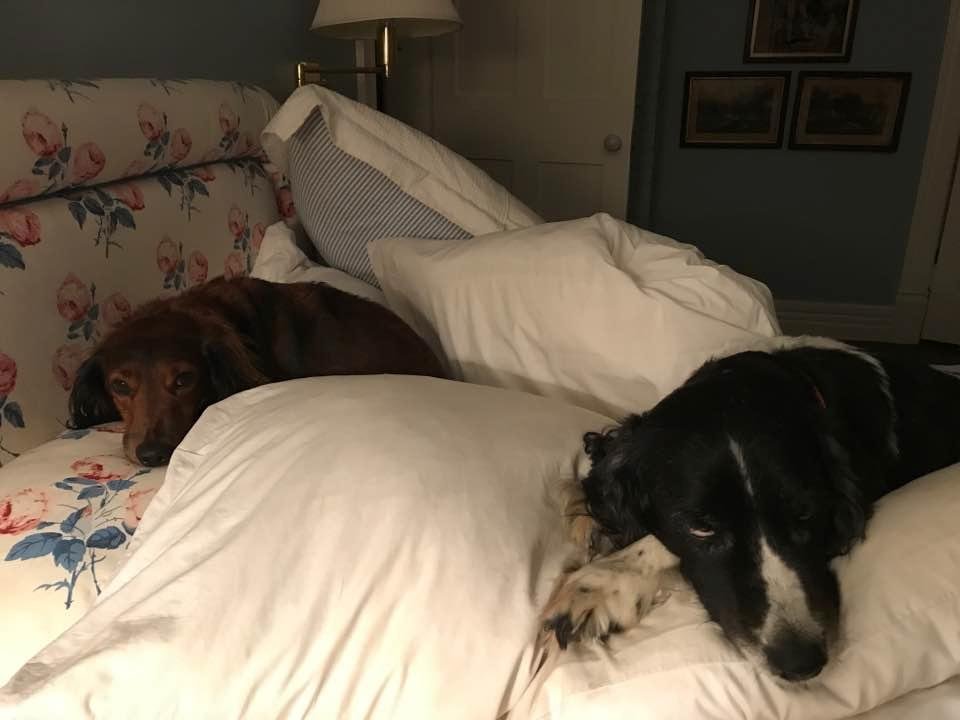 What do you mean 'no more cookies'