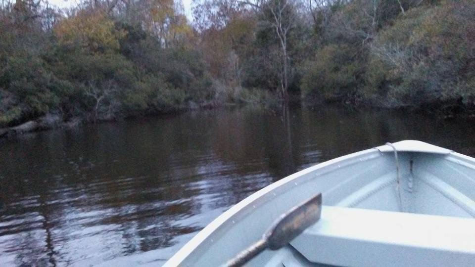 Even a worn out old guy can enjoy an afternoon in a rowboat. I highly recommend it!