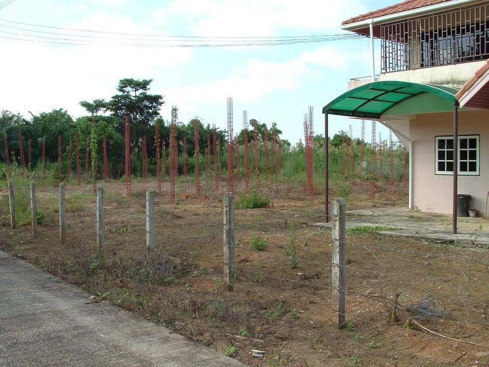 Randy Higley's album, Thailand Mission
