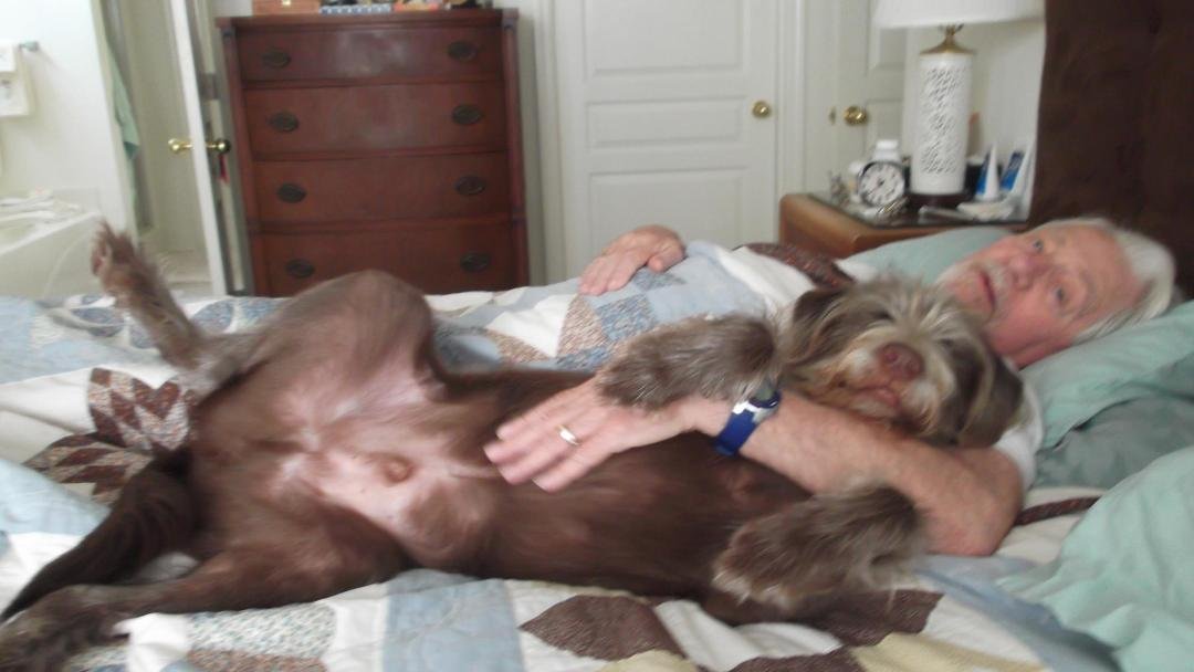 A man and his dog
