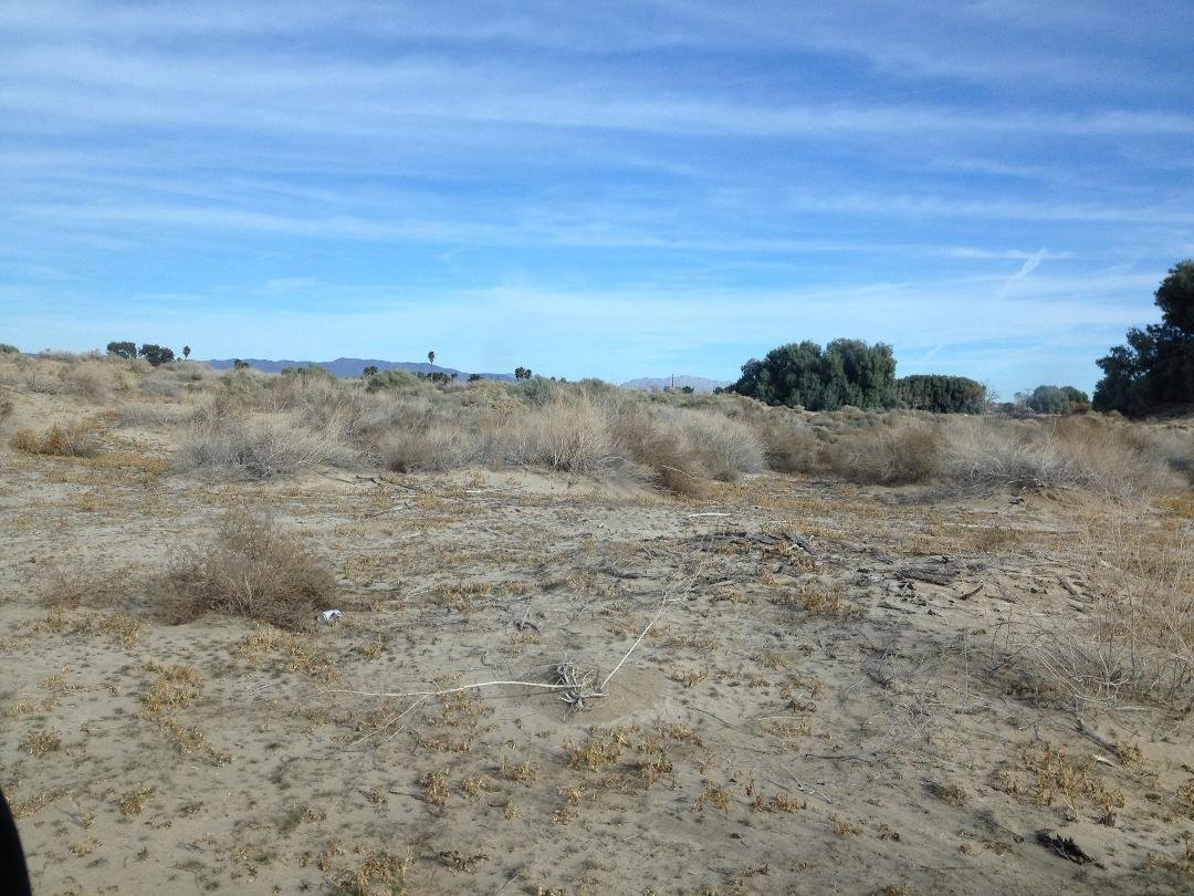 And so the desert