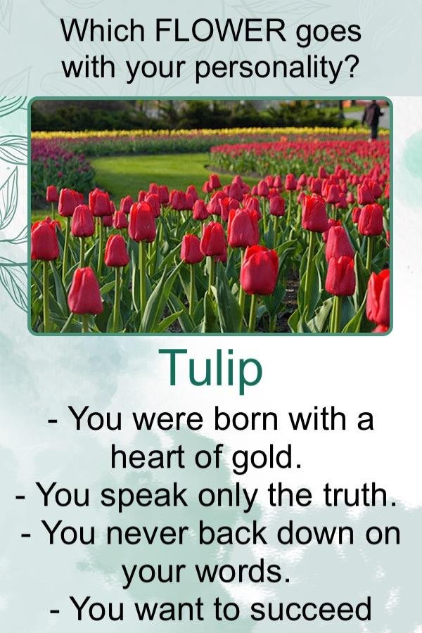 Beverly Hawley's album, Timeline Photos