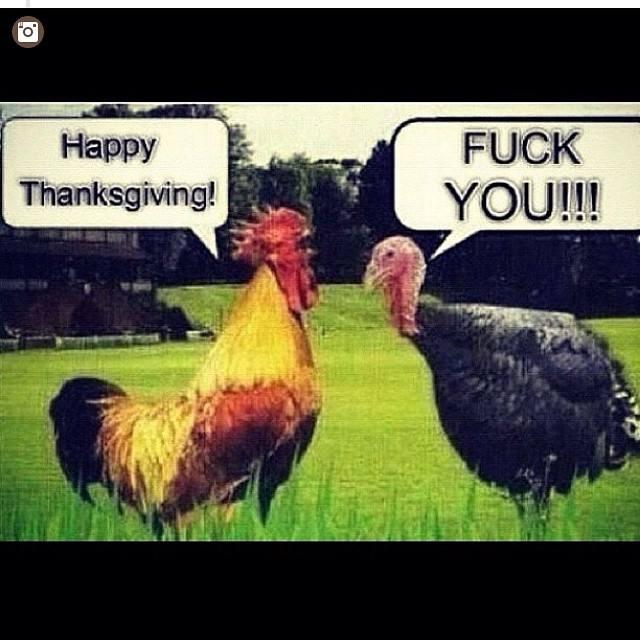 Happy Thanksgiving