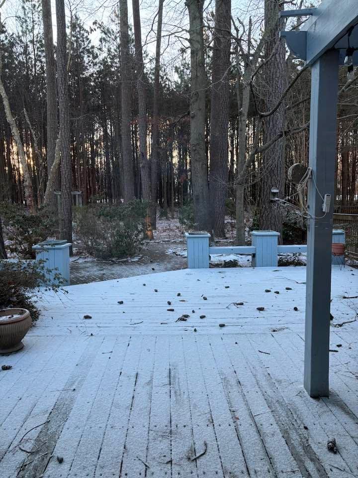 More snow. OVER IT!