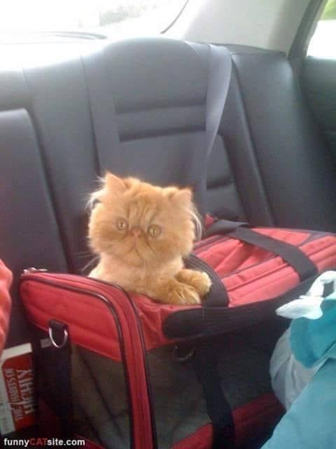 And where are we going?
