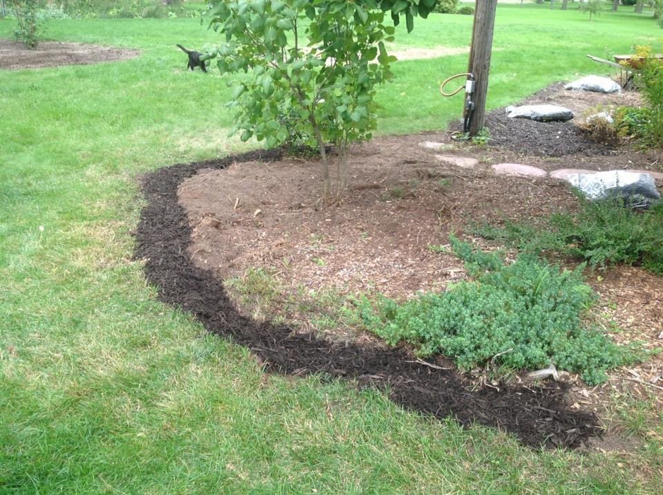 Start laying down a boarder of mulch. Have 8 more bags to go. Finish the rest next Spring..
