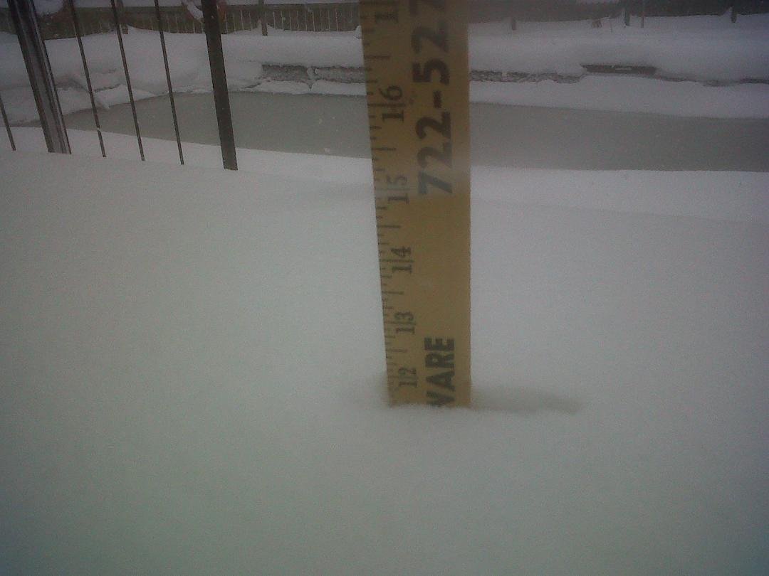 This Just ain't right for VaBeach!!!!