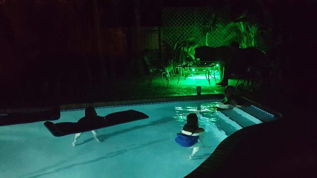 Time for a night time swim😊
