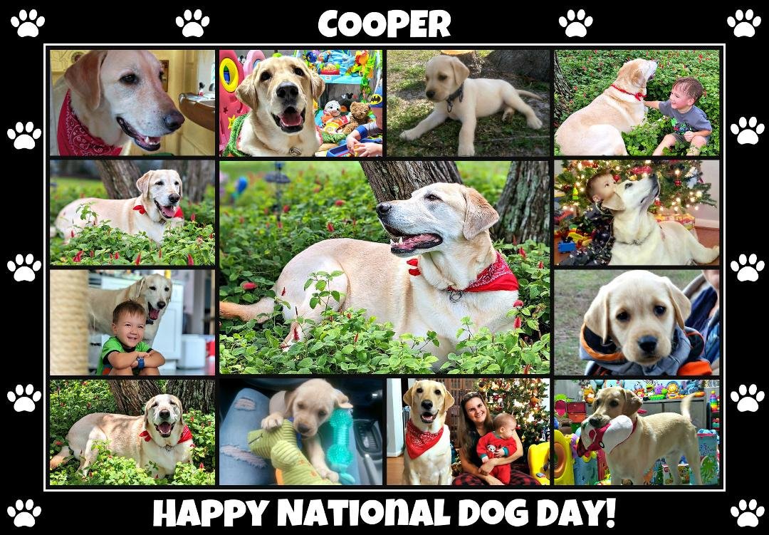 I'm a day late. We love our Cooper 🥰