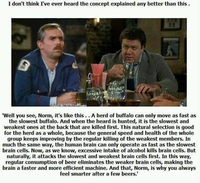 Finally someone that knows what he’s talking about!