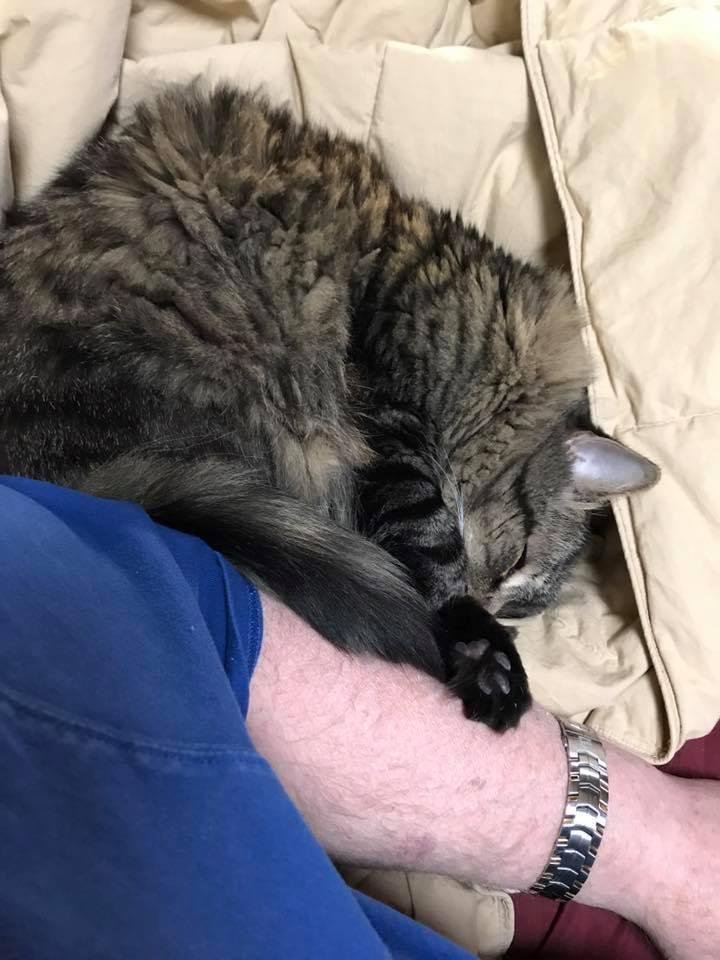 I guess I'm not going anywhere.