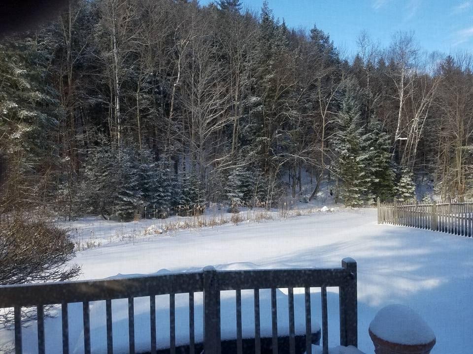 After 20" of snow the other day, we have another 4" today.  Really beautiful view of the trees in our backyard.