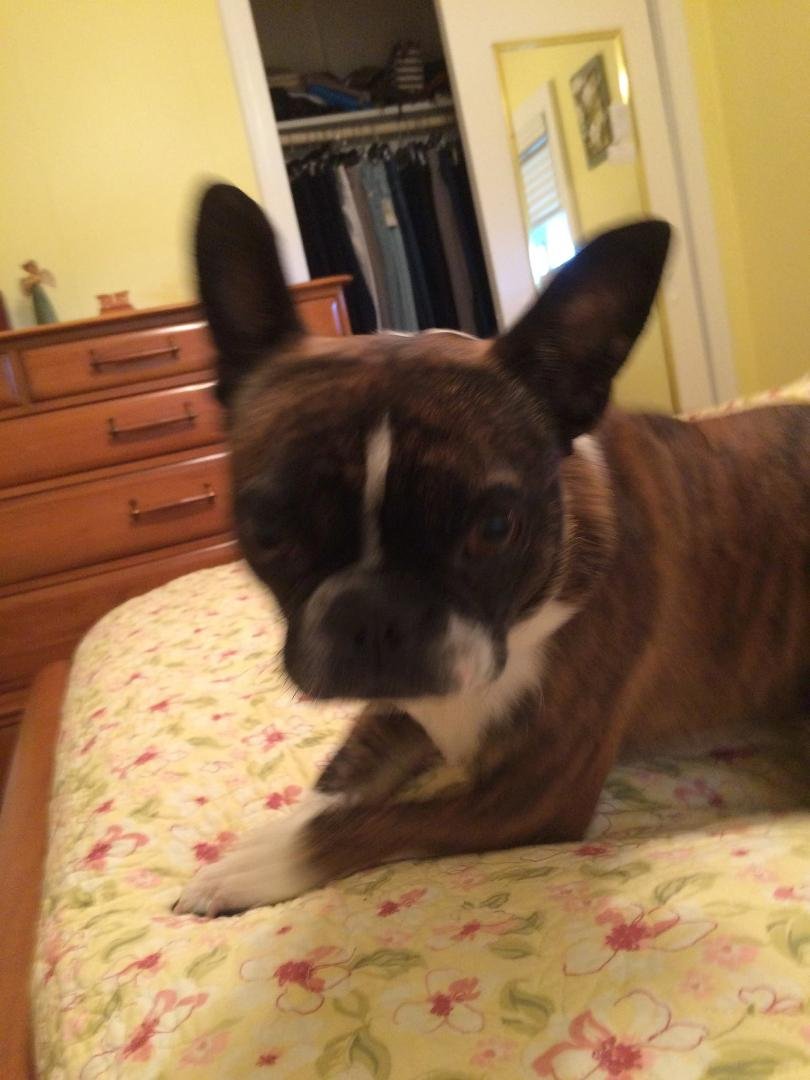 Nancy Zepp's album, iOS Photos