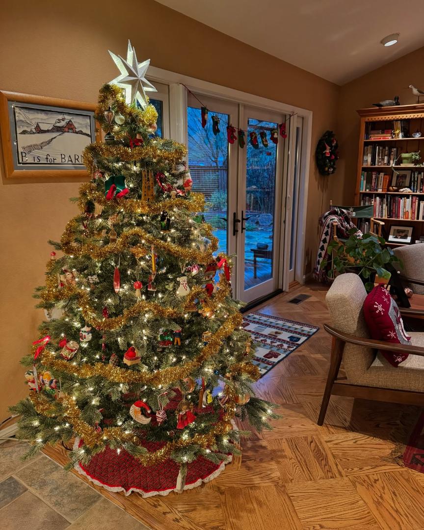 Wishing everyone a joyful and peace filled Christmas. #christmas #christmaslights #merrychristmas