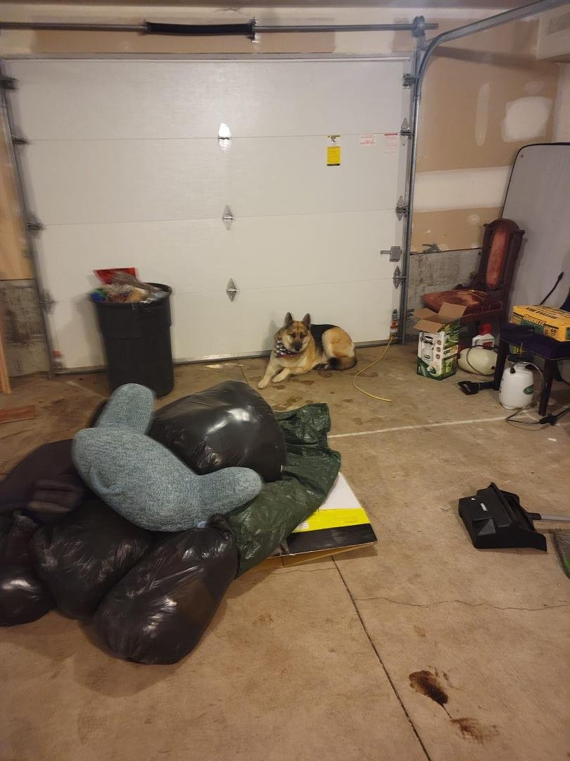 Baby's first day at work she's a big chicken and won't leave the garage door