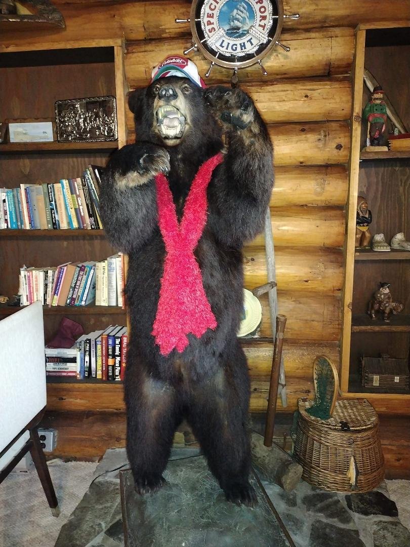 This is who we are staying with lol lol