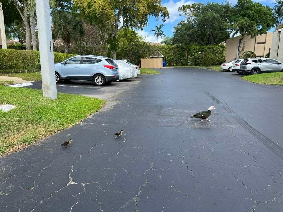 More pics of local wildlife