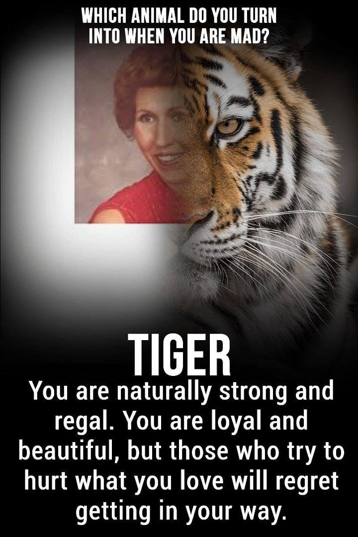 Eugenia Stout's album, Timeline photos