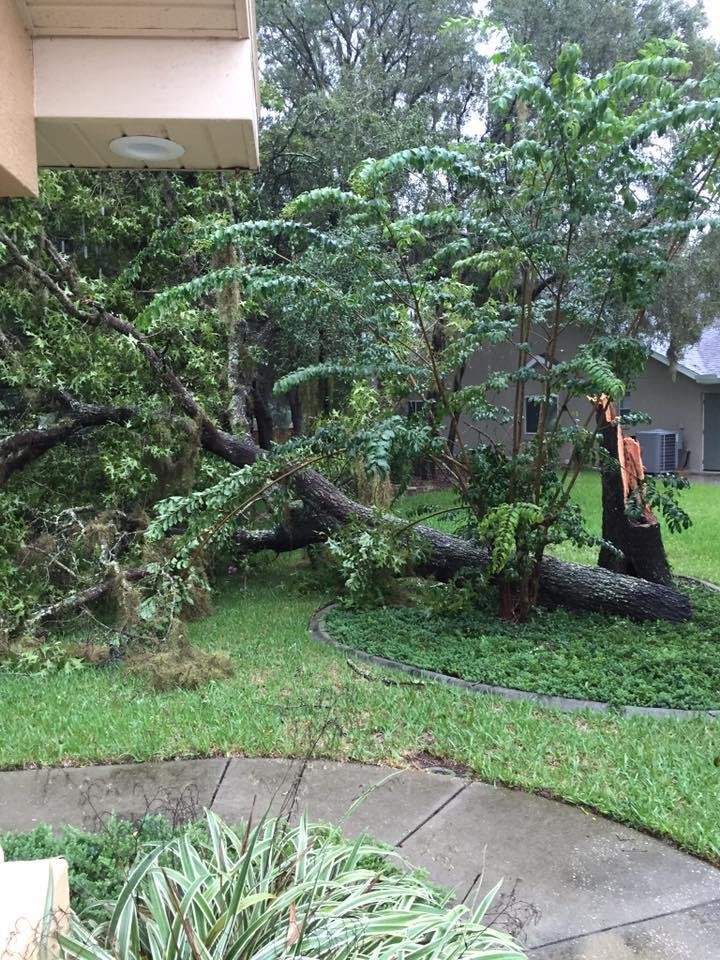 Didn't even have any wind. Just rain.