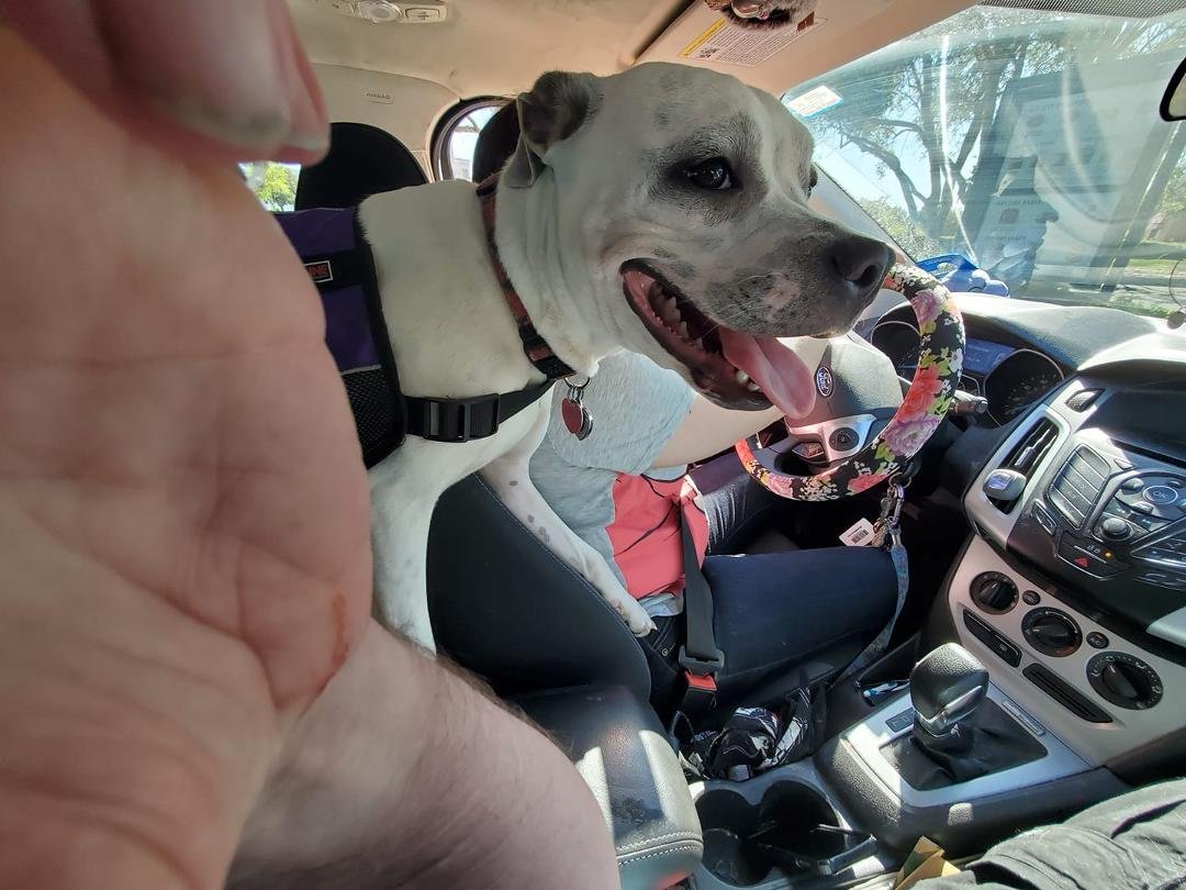 My momma knows how to drive and I know how to hang on!