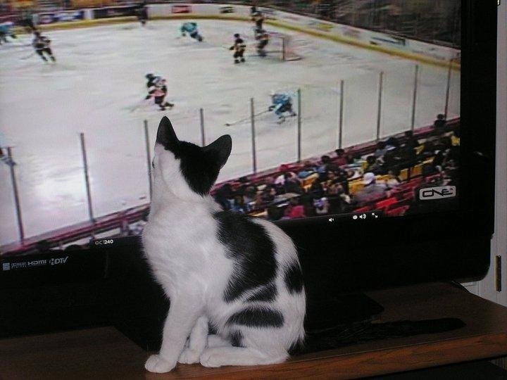 Our favorite past time, even Maxwell approves.