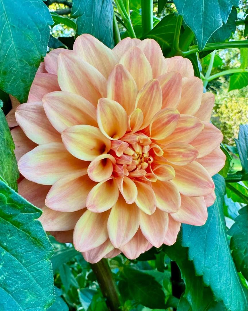 Gail Wagner's album, Timeline photos
