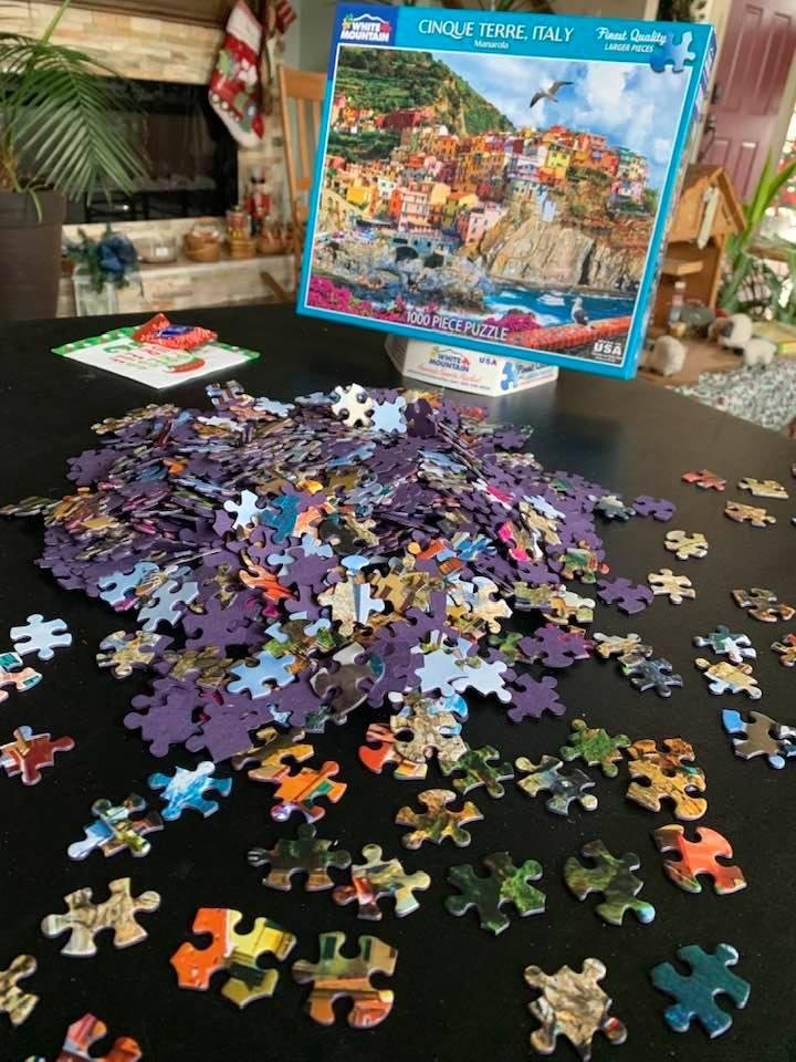 So how do you pros start a puzzle? I’m turning all pieces right side up and separating the border pieces and the sky for now. What’s your strategy?