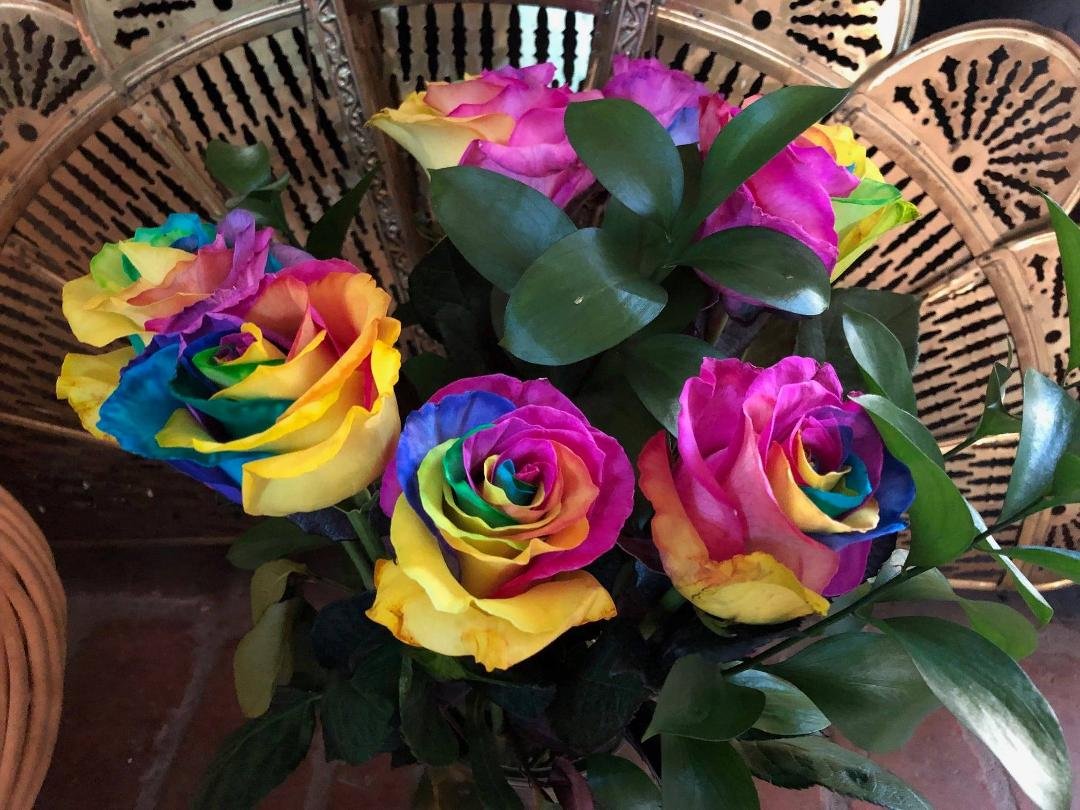 Our house is starting to look like a florist shop! Pandora has been bringing home lots of flowers commemorating her retirement (this Friday is her last day!) from San Dieguito High School Academy as their Health Technician