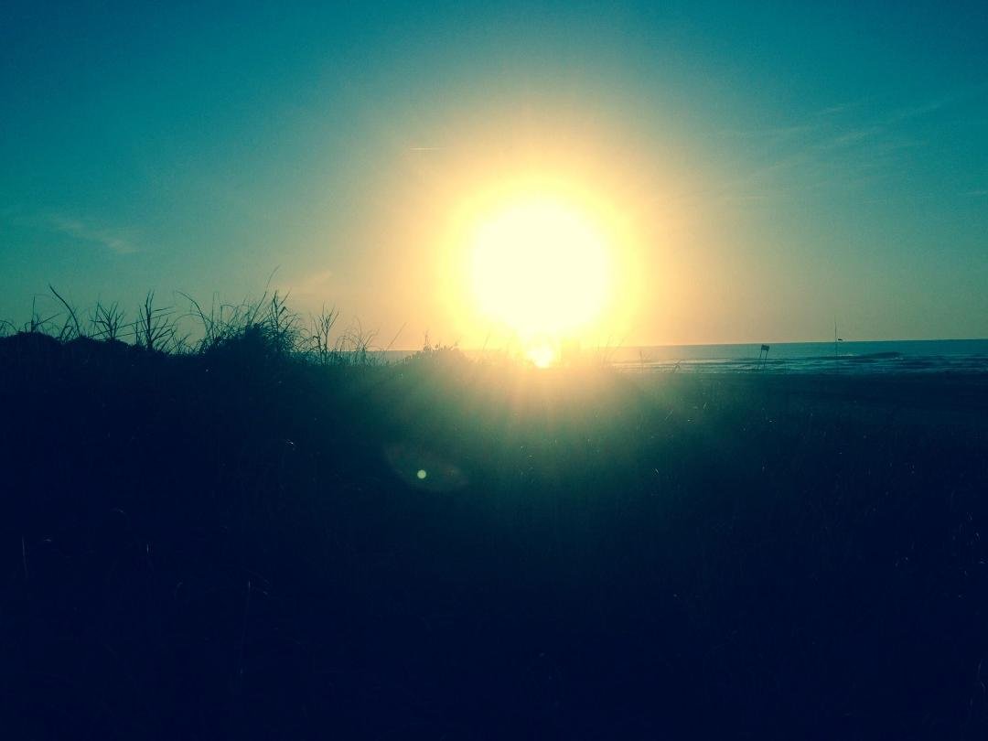 Ron Dutton's album, Mobile Uploads