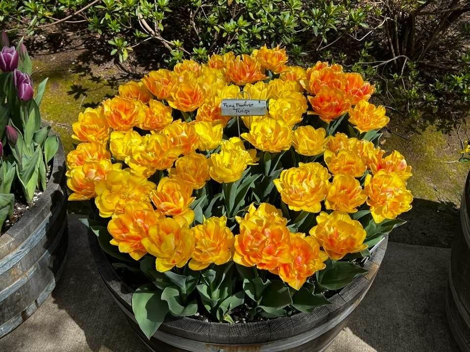 Richard (Rick) Gerhardt's album, Timeline photos