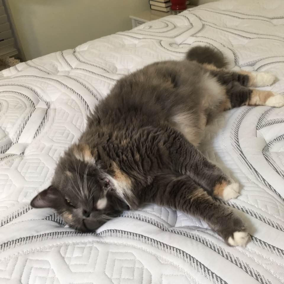 New bed delivered, she approves