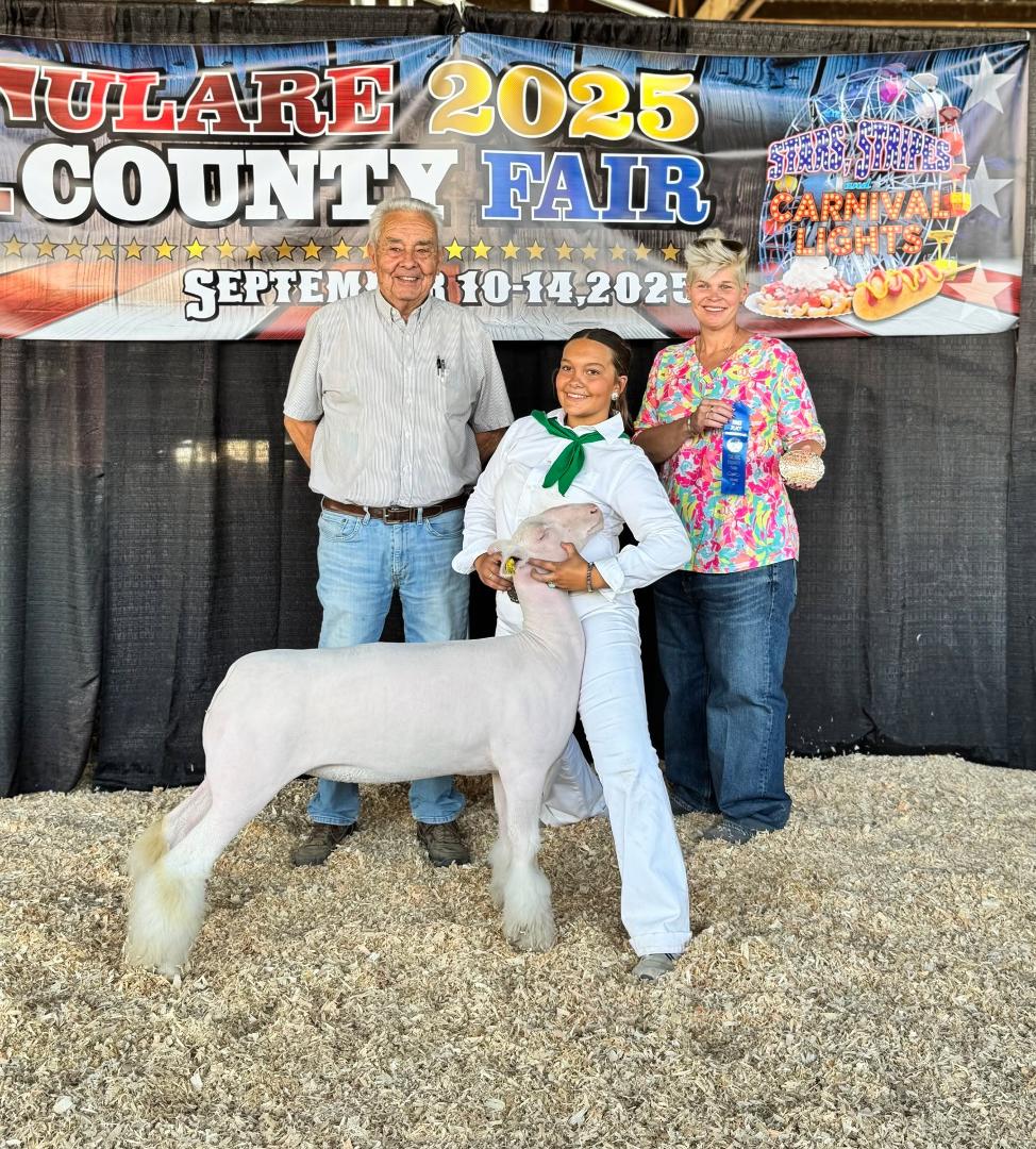 Sorry for the late post. Julia, you did another outstanding job. She won the intermediate 4-H division in Showmanship. Her breeding ewe was Reserve Champion in all breeds division. I appreciate your dedication and hard work