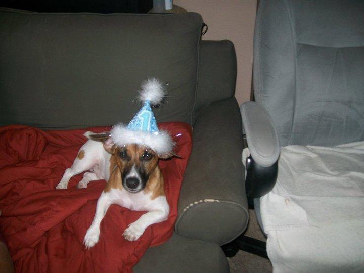 PAULA ZIPOLI's album, Macree's 1st Birthday!!!!!