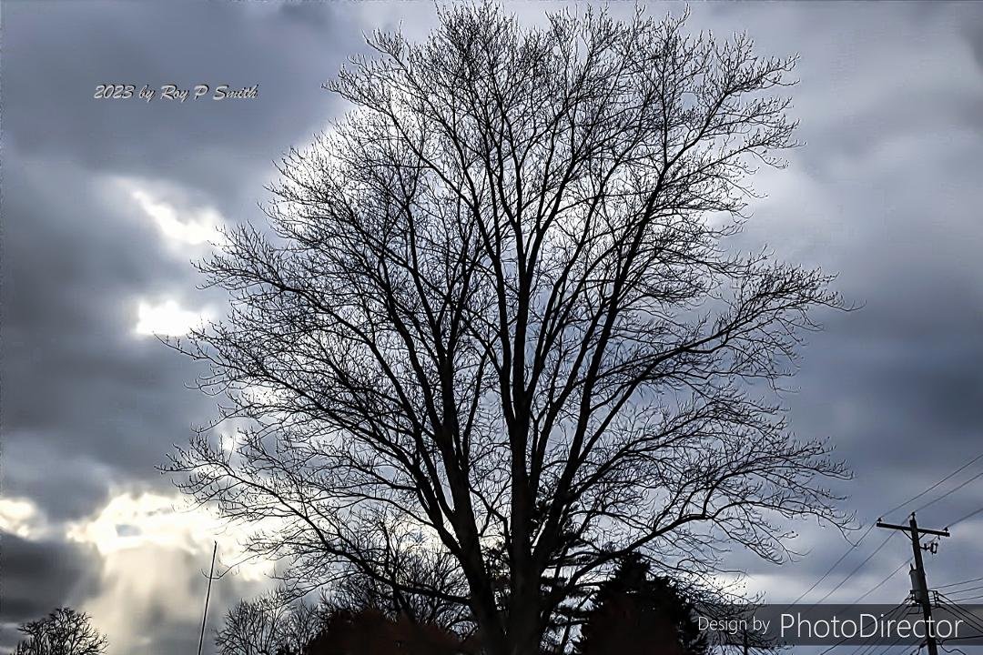 Cloudy, windy and bone-chilling cold today. I walked 1.5 miles today and that was enough!
