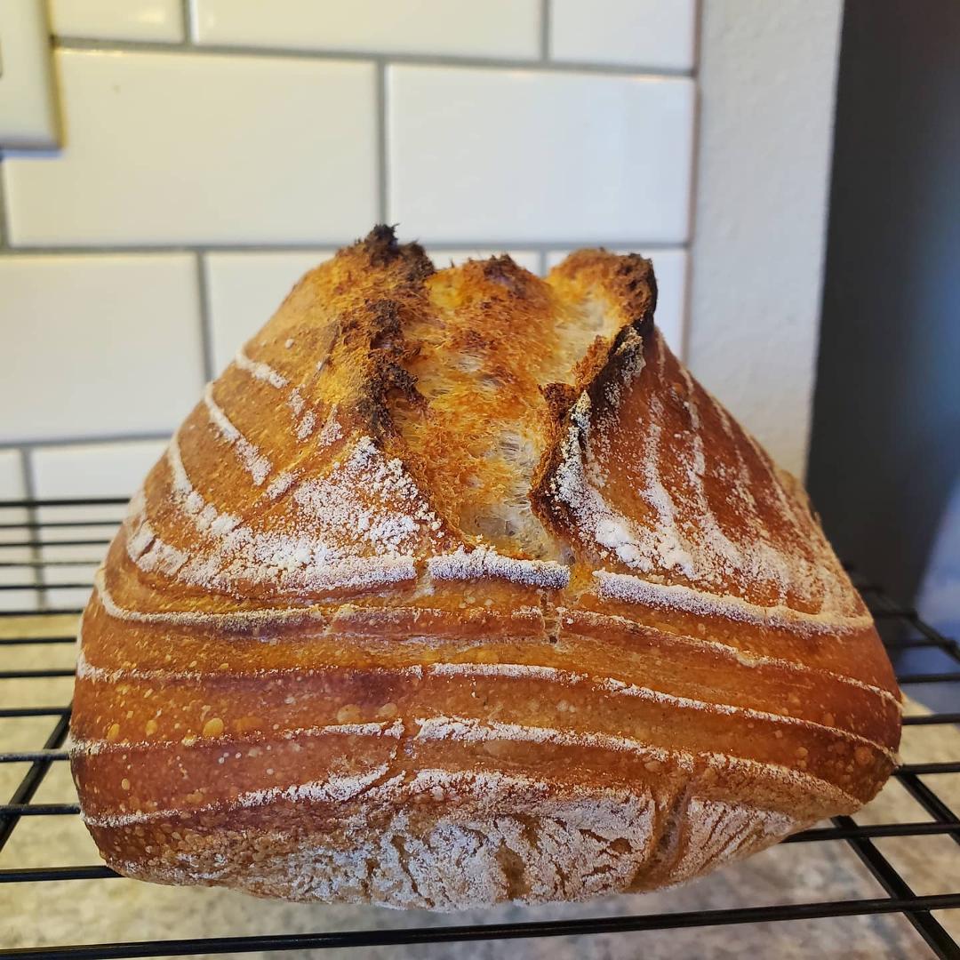 The lines from the banneton basket + rice flour make me happy.

Not shown: my homemade cultured butter to slather all over the place once this cools down.