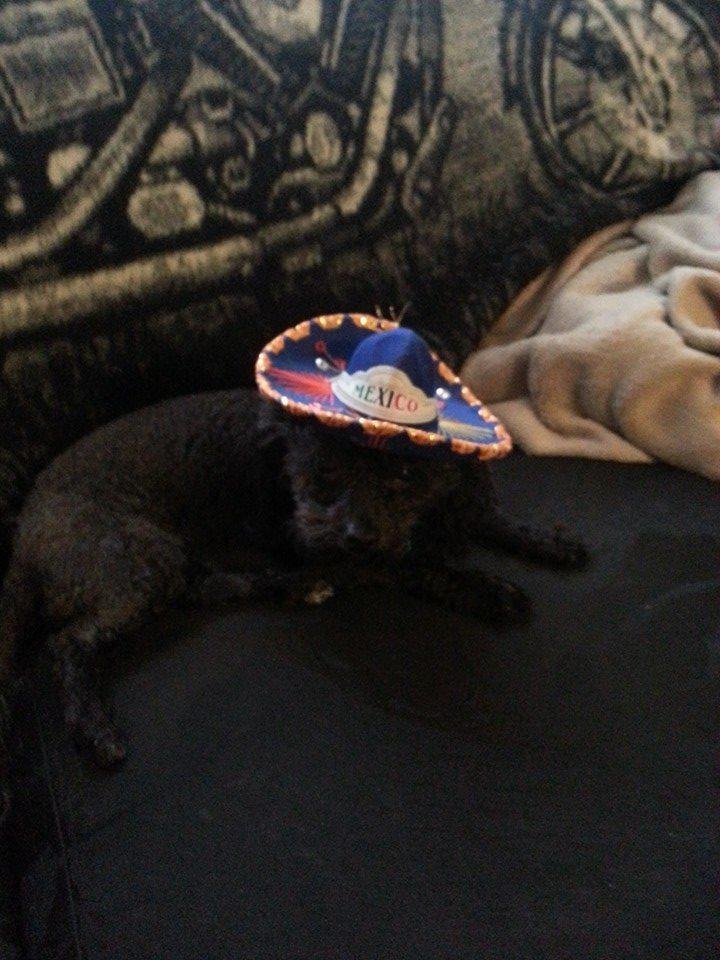 Harley styling in her new sombrero