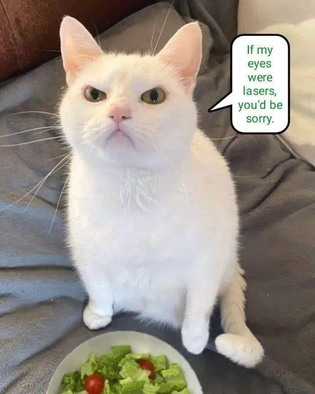 Diet time haha