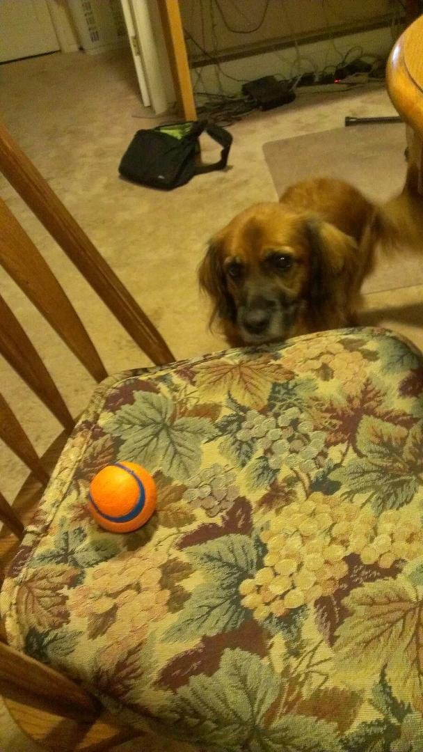 Won't you please play ball with me?