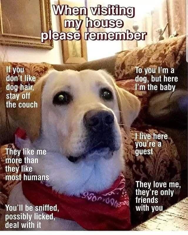 Paul Goddard's album, Timeline photos