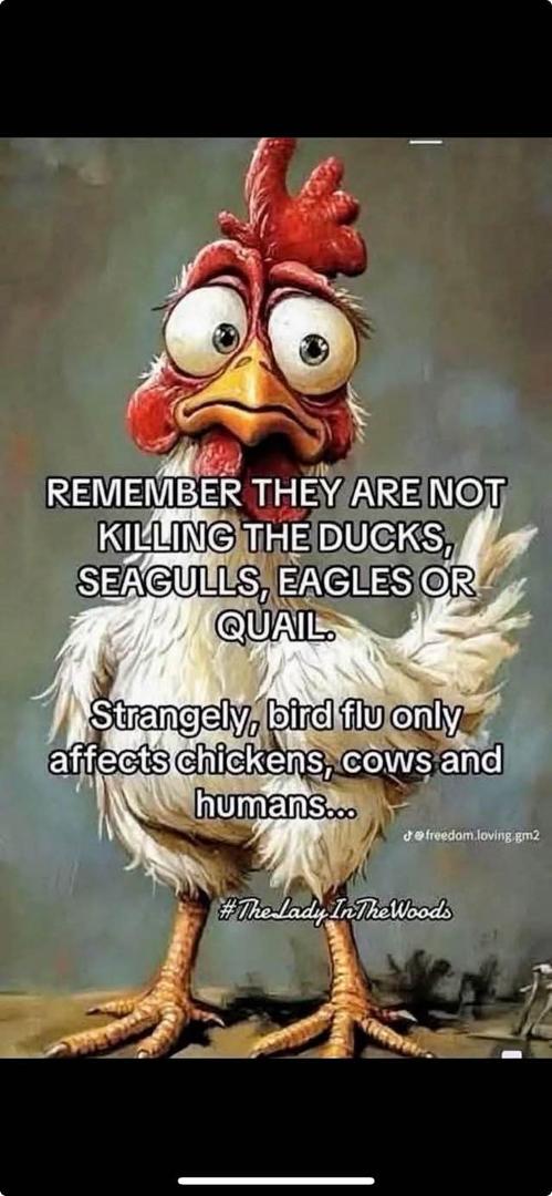 Junetta White's album, Timeline photos
