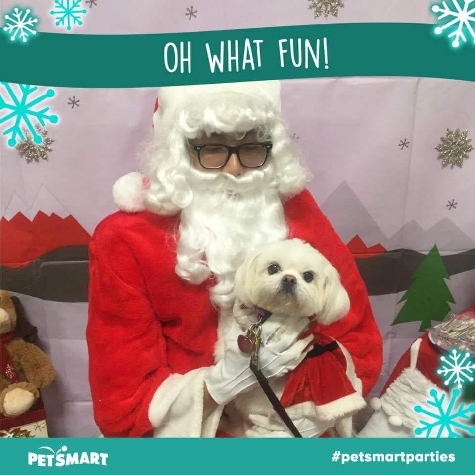 My sweet baby, Trixie, went to see Santa to tell him what she wants for Christmas!