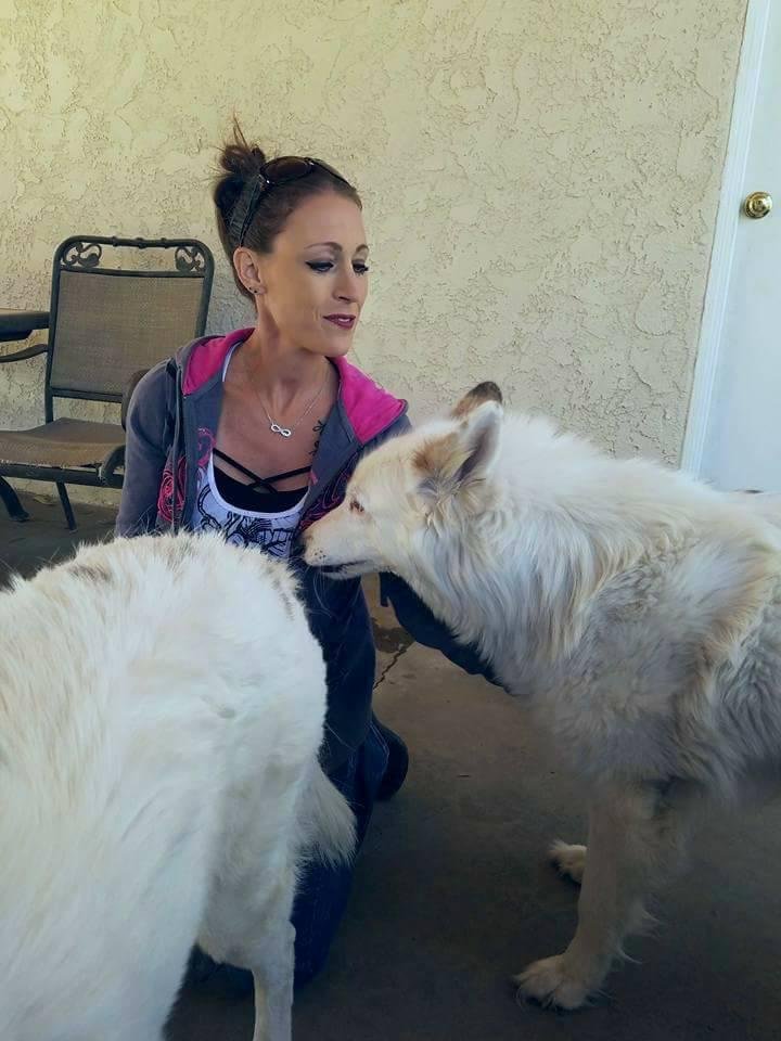 Melanie Phelps' album, Timeline Photos