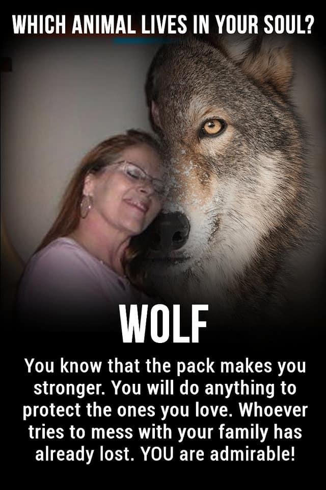 Lori Moore's album, Timeline Photos