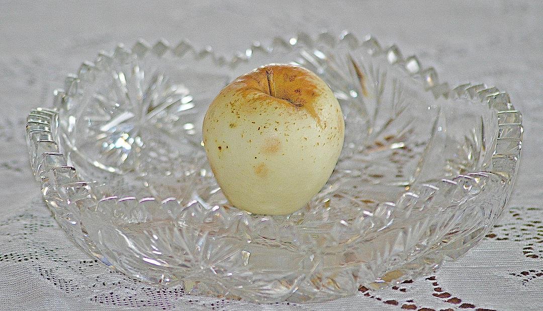 You probably know that you can't reproduce the same apple tree from seed and to get the same kind of apple you have to graft a sliver of it on to rootstock. Around the cabin there are over fifty wild apple trees, many quite